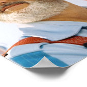 Poster Bill Murray Vie aquatique (Coin)