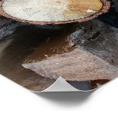 Poster billes de bois photo nature originale (Coin)