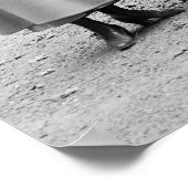 Poster Billets Suffragette : 1917 (Coin)