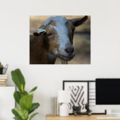 Poster Billy (Bureau à domicile)