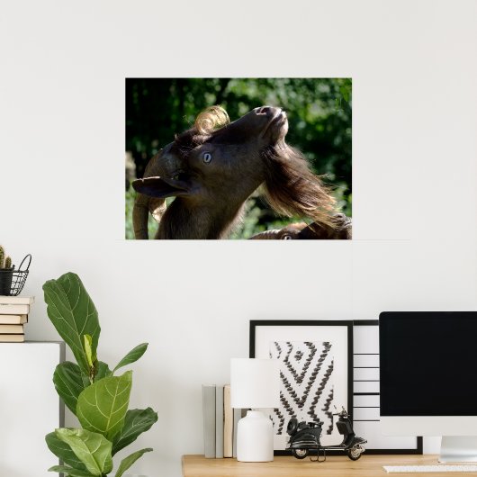 Poster Billy Goat (Bureau à domicile)