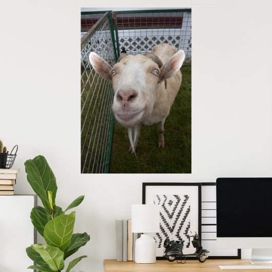 Poster Billy Goat (Bureau à domicile)