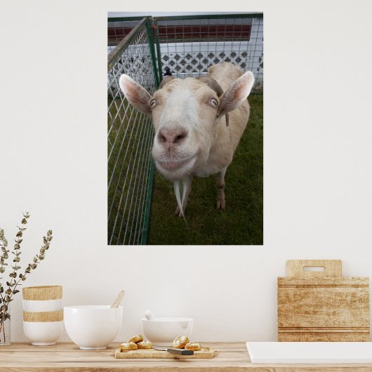 Poster Billy Goat (Cuisine)