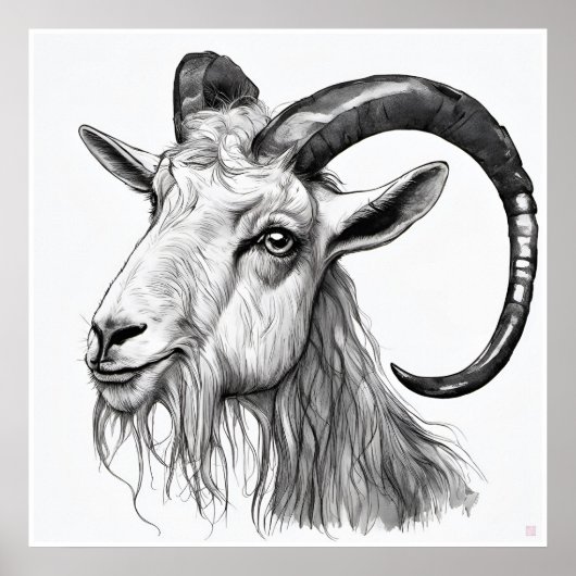 Poster Billy Goat - Art Print (Devant)