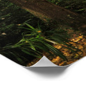 Poster Bilobiers de Ginkgo (Coin)