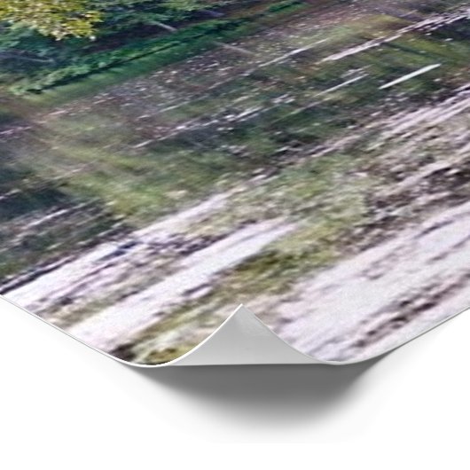 poster biltmore (Coin)