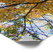 Poster Binghamton Octobre 2008 17 (Coin)