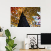 Poster Binghamton Octobre 2008 17 (Bureau à domicile)