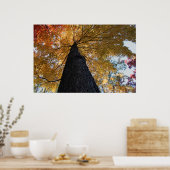 Poster Binghamton Octobre 2008 17 (Cuisine)