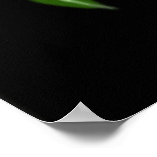 Poster Bioaléa vert acide 08 (Coin)