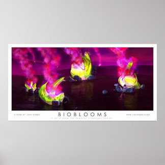 Poster Bioblooms