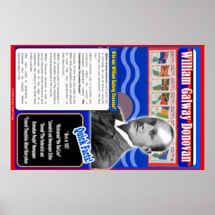 Poster Biographie de William Galway Donovan