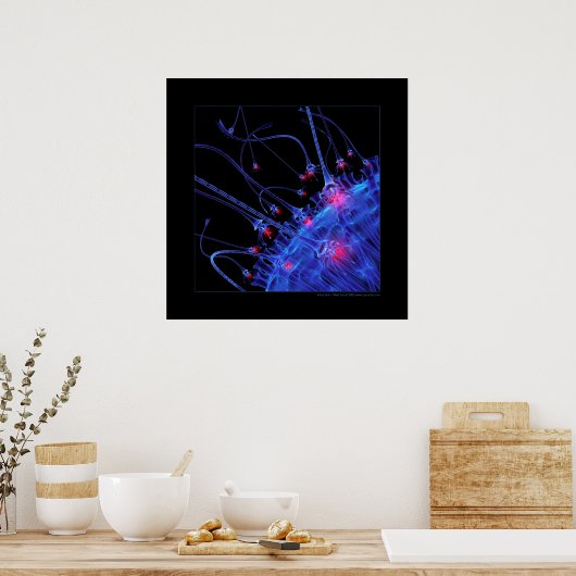 Poster Biologie : attraction (Cuisine)