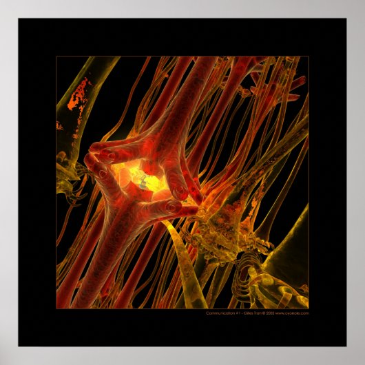 Poster Biologie : communication #1 (Devant)