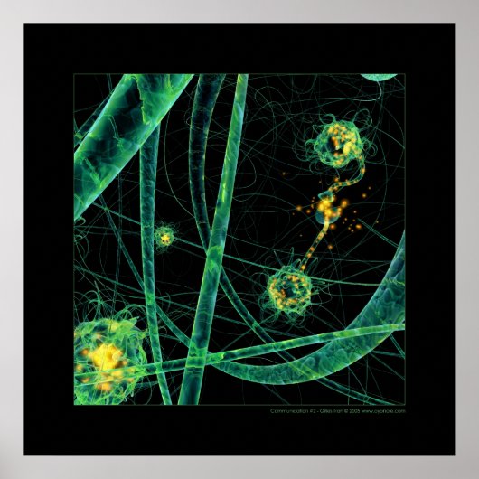Poster Biologie : communication #2 (Devant)