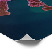 Poster Biologie du virus covid (Coin)