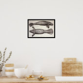 Poster Biologie marine de la vache marine Imprimer (Cuisine)