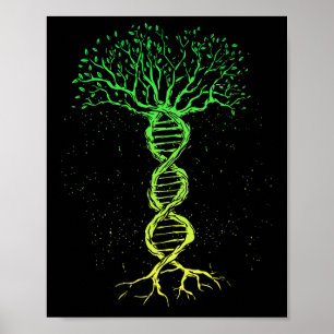 Poster Biologiste de la généalogie de l'arbre génétique S