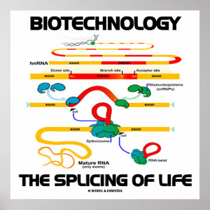 Poster Biotechnology The Splicing Of Life (Mature RNA)
