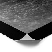 Poster Biplan scout de Thomas Sopwith 1919 (Coin)