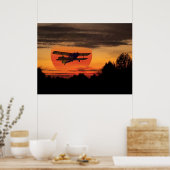 Poster biplane (Cuisine)