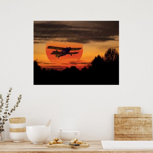 Poster biplane (Cuisine)