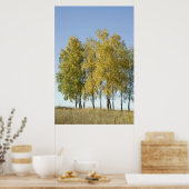 Poster Birch (Cuisine)