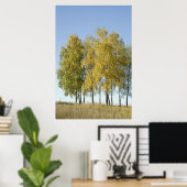 Poster Birch (Bureau à domicile)