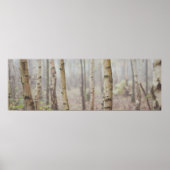POSTER BIRCH (Devant)