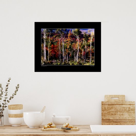 Poster Birch Against Color (Cuisine)