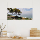 Poster Birch Aquarium Panorama (Cuisine)