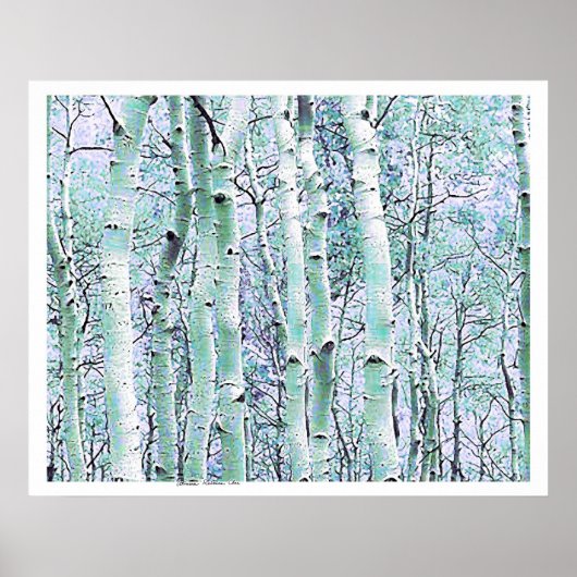 Poster Birch d'hiver (Devant)