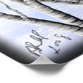 Poster Birch Mountain (Coin)