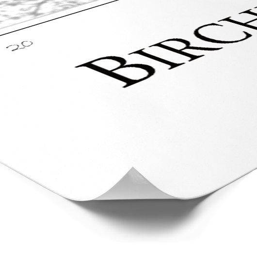 Poster Birch Tree (Coin)