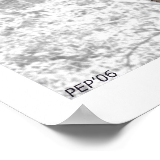 Poster Birch Tree (Coin)