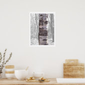 Poster Birch Tree (Cuisine)