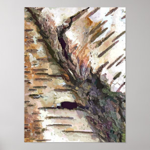 POSTER BIRCH TREE