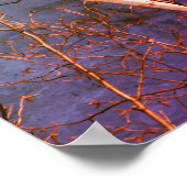 Poster Birch Tree blanc Ciel bleu Abstrait (Coin)