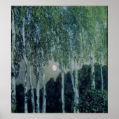 Poster Birch Trees (Devant)