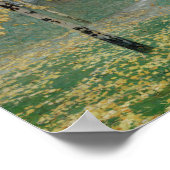 Poster Birch Trees, 1904 (huile sur toile) (Coin)