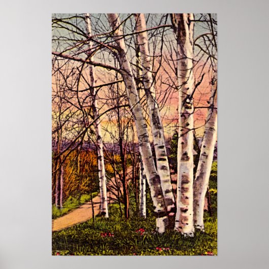 Poster Birch Treks du nord du Michigan au printemps (Devant)