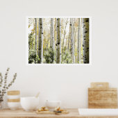 Poster Birch Woods (Cuisine)