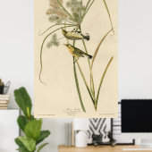 Poster Bird, Amérique, Prairie Warbler, Audubon, Vintage (Bureau à domicile)
