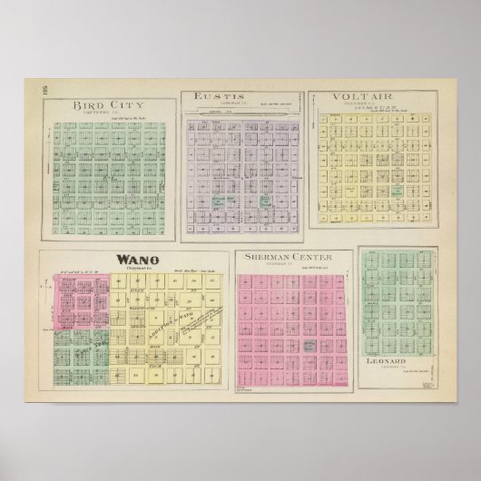 Poster Bird City, Eustis, Voltair, Wano, , Kansas (Devant)