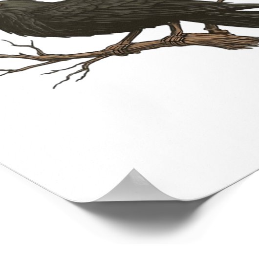 Poster Bird - Funny Crow F-Caw-F Classic (Coin)