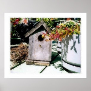 Poster Bird House