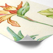 Poster Bird of Paradise Art Print 5x7 (Coin)