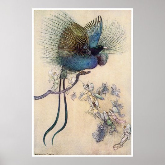 Poster Bird of Paradise Print Warwick Goble (Devant)