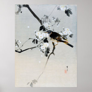 Poster Bird on a Cherry Blossom Branch, Watanabe Seitei