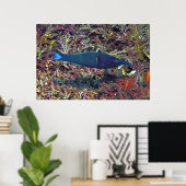 Poster Birdhead Wrasse (Bureau à domicile)